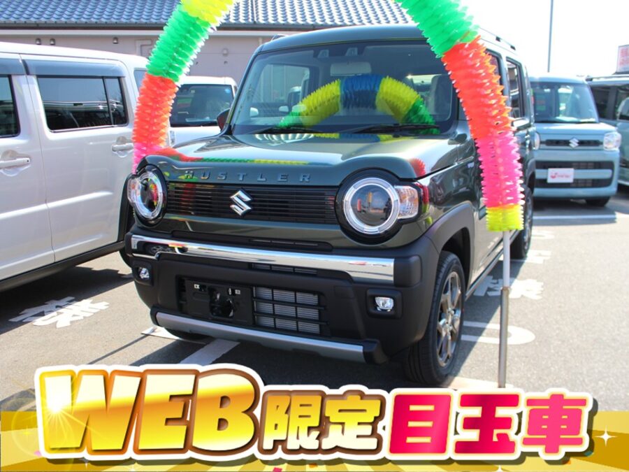ハスラータフワイルド
